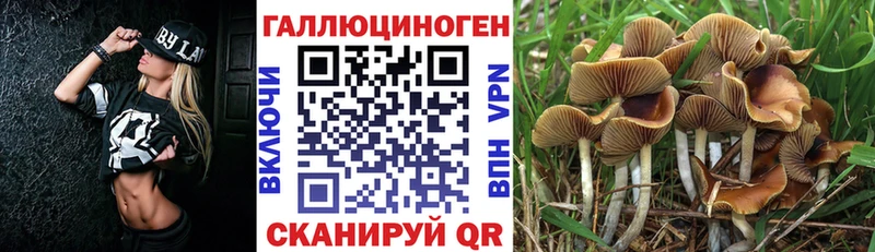 Псилоцибиновые грибы GOLDEN TEACHER  Вилюйск 